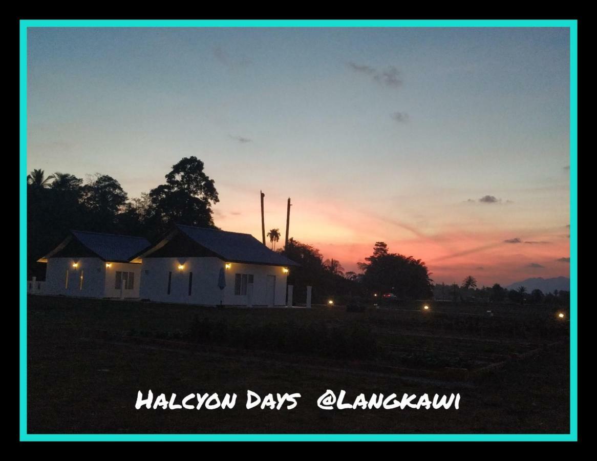 Halcyon Days @ Langkawi Apartment Pantai Cenang  Bagian luar foto